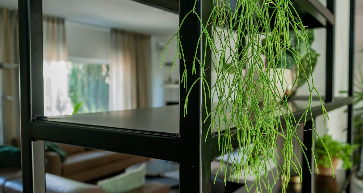 Industriële roomdivider, maatwerkproject van Weij Maatwerk en Interieur