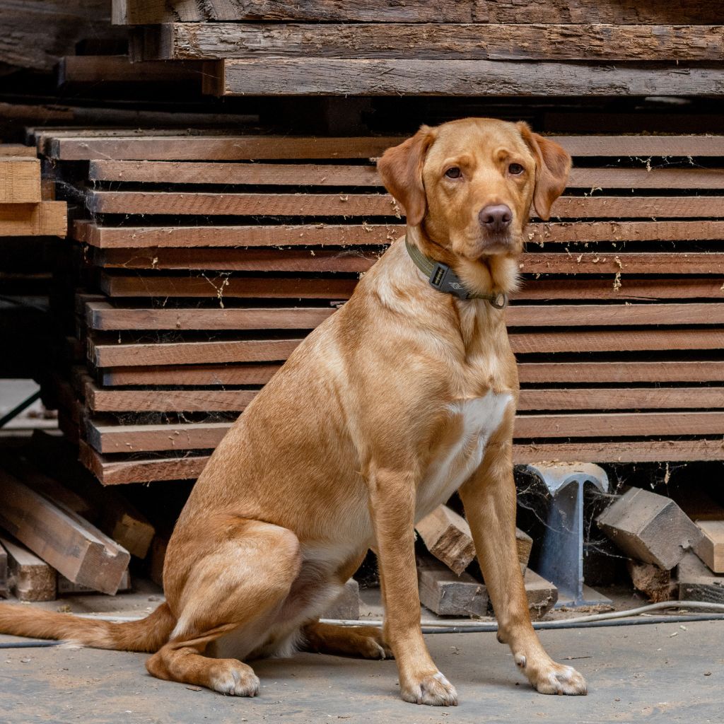 xr:d:DAFu4WjW5Fg:14,j:4931845084323705349,t:23092009 â Ons team